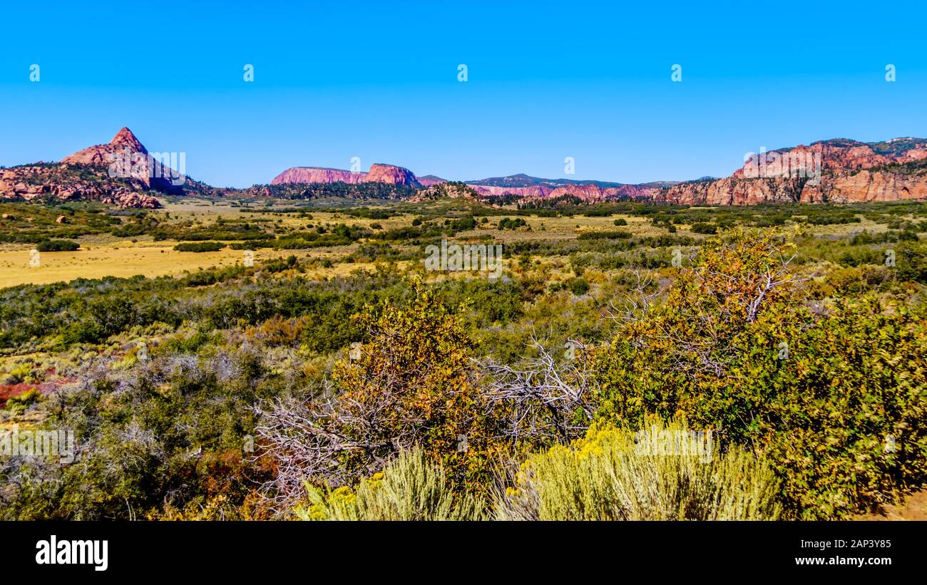 View of the Kolob Plateau and Pine Valley in the Zion National Park