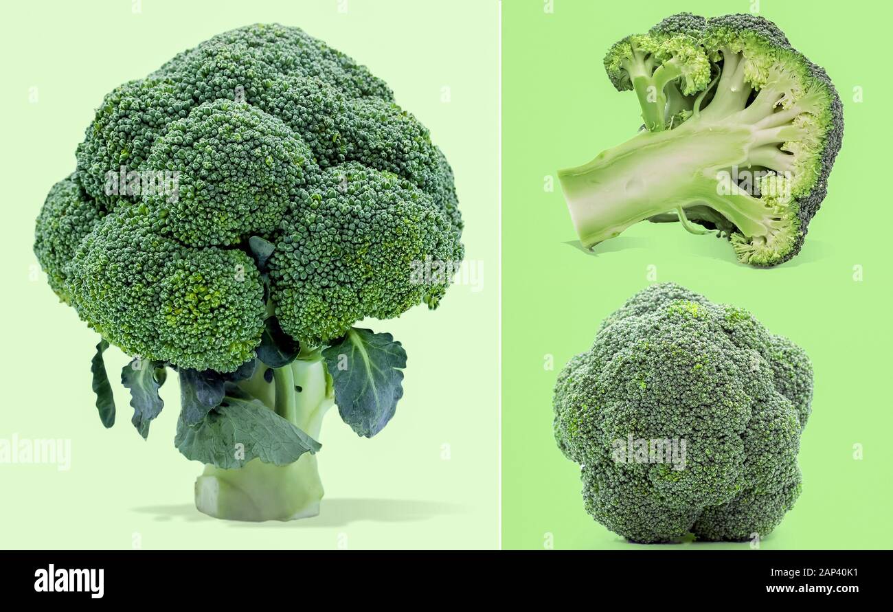 https://c8.alamy.com/comp/2AP40K1/single-object-of-broccoli-isolated-on-white-background-2AP40K1.jpg