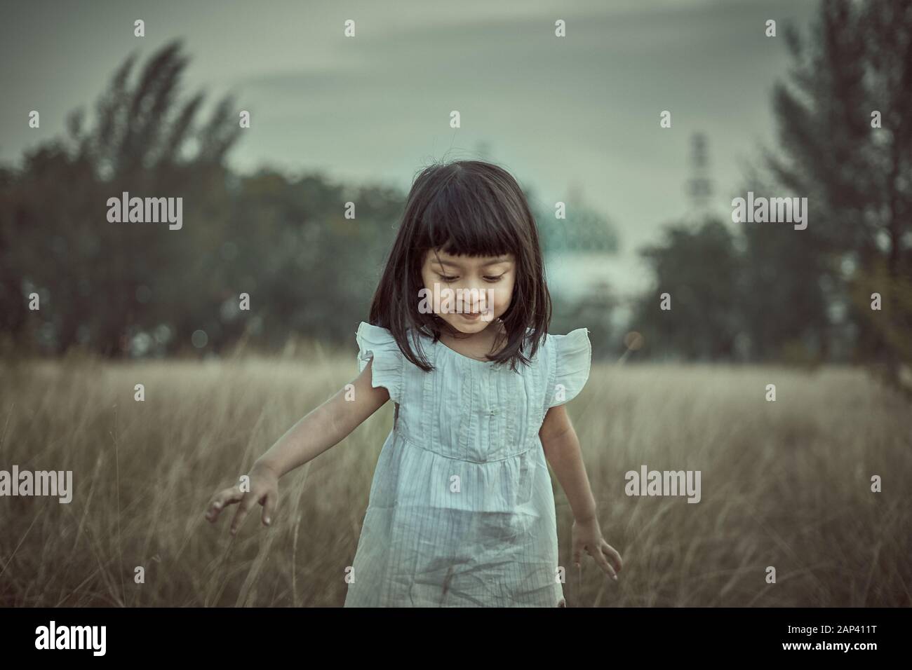 Pretty Little girl in white dress in field at sunset Stock Photo - Alamy