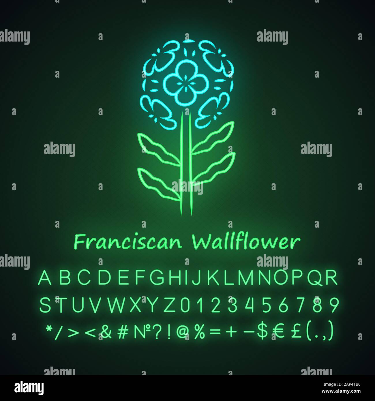 Franciscan wallflower neon light icon. Garden flowering plant with name. Erysimum franciscanum. Blooming wildflower, weed. Spring blossom. Glowing alp Stock Vector