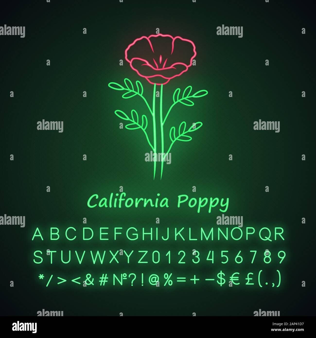 California poppy neon light icon. Papaver rhoeas with name inscription. Corn rose blooming wildflower. Herbaceous plants. Field common poppy. Glowing Stock Vector