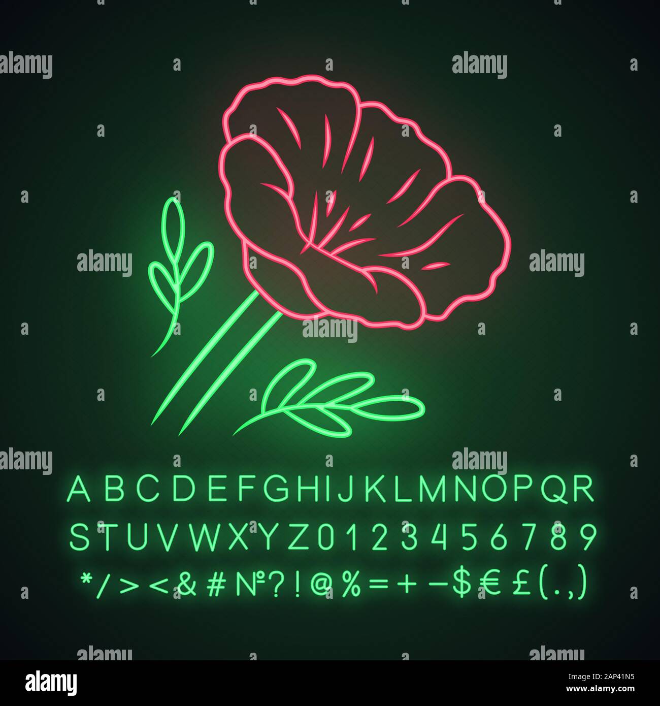 California poppy neon light icon. Papaver rhoeas. Corn rose blooming wildflower. Herbaceous plants. Field common poppy. Summer blossom. Glowing alphab Stock Vector