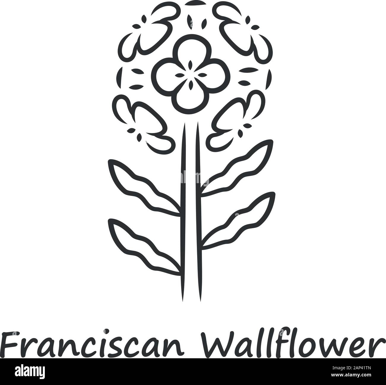Franciscan wallflower linear icon. Garden flowering plant with name inscription. Erysimum franciscanum inflorescence. Thin line illustration. Contour Stock Vector