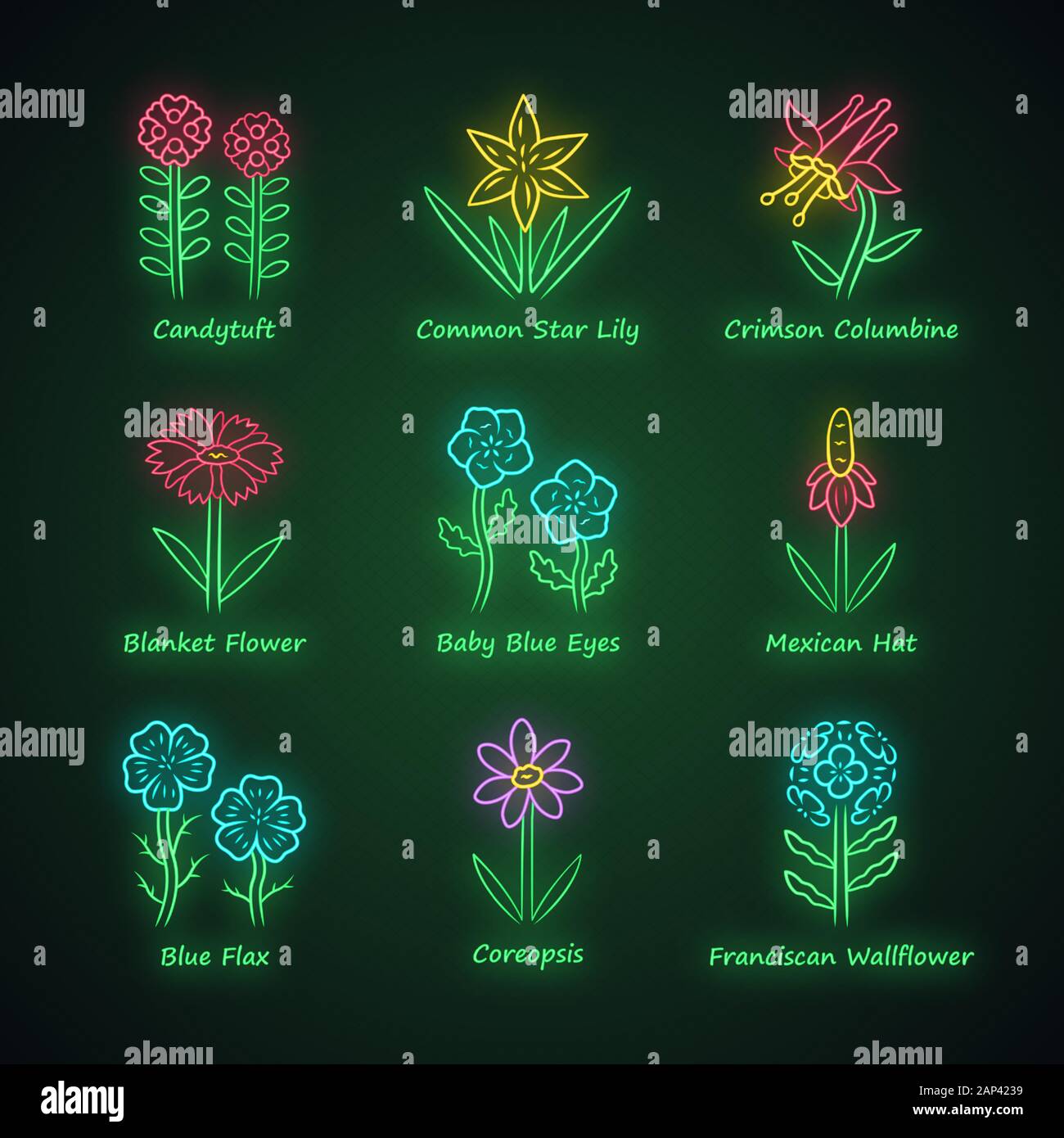 Wild flowers neon light icons set. Candytuft, common star lily, crimson columbine, blue eye, linum, coreopsis, franciscan wallflower. Wildflowers, wee Stock Vector