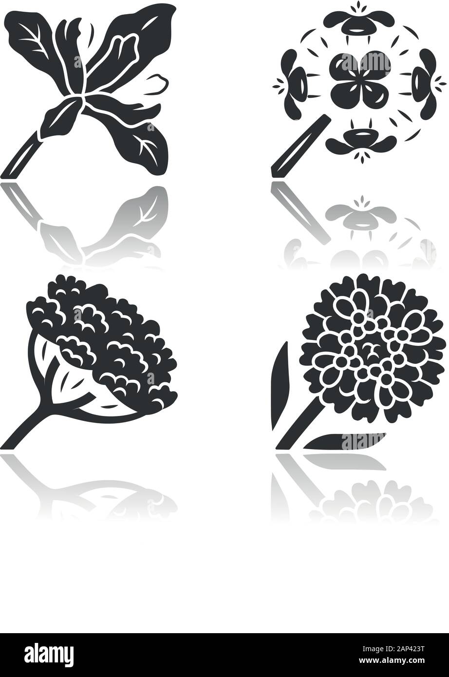 Wild flowers drop shadow black glyph icons set. Douglas iris ...