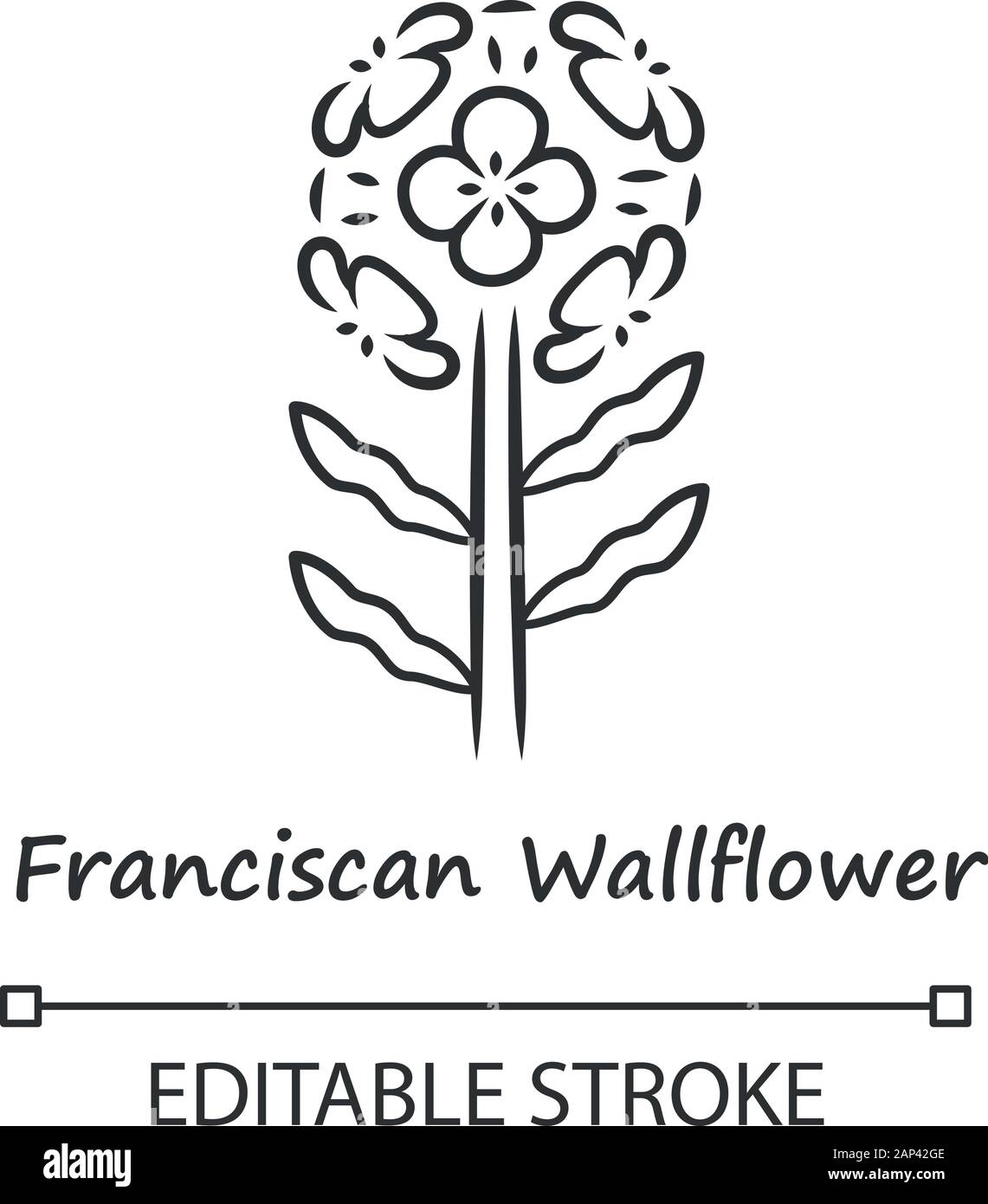 Franciscan wallflower linear icon. Garden flowering plant with name inscription. Erysimum franciscanum inflorescence. Thin line illustration. Contour Stock Vector
