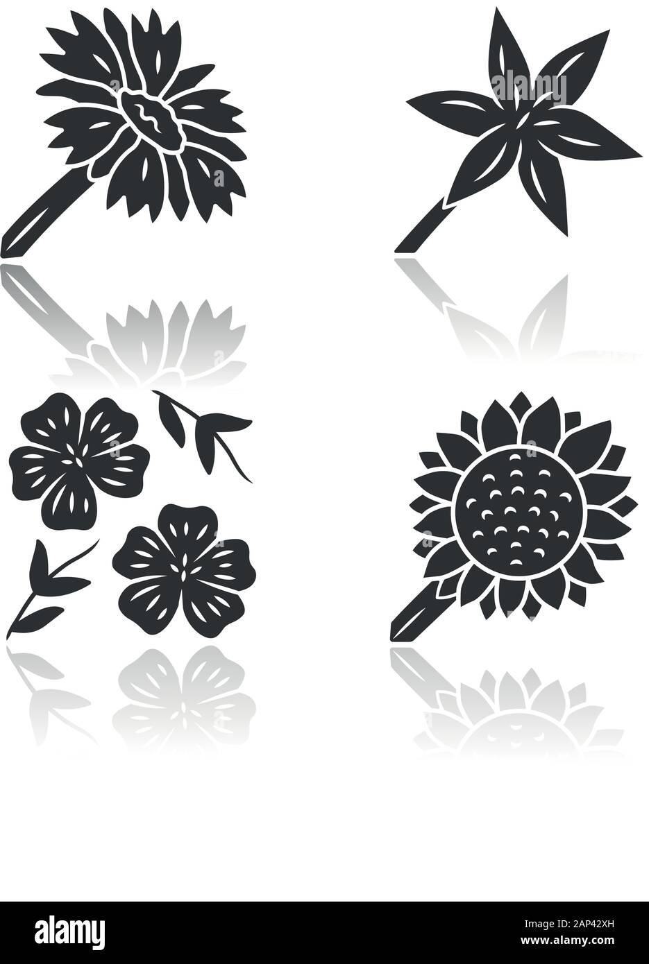 Wild flowers drop shadow black glyph icons set. Common star lily, blue flax, helianthus, blanket flower. Blooming wildflowers. Field, meadow herbaceou Stock Vector