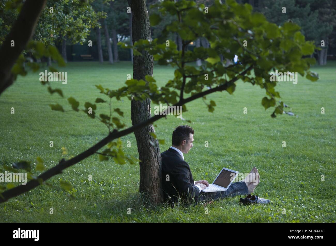 Manager im Park Manager Working Outdoor Stock Photo Alamy