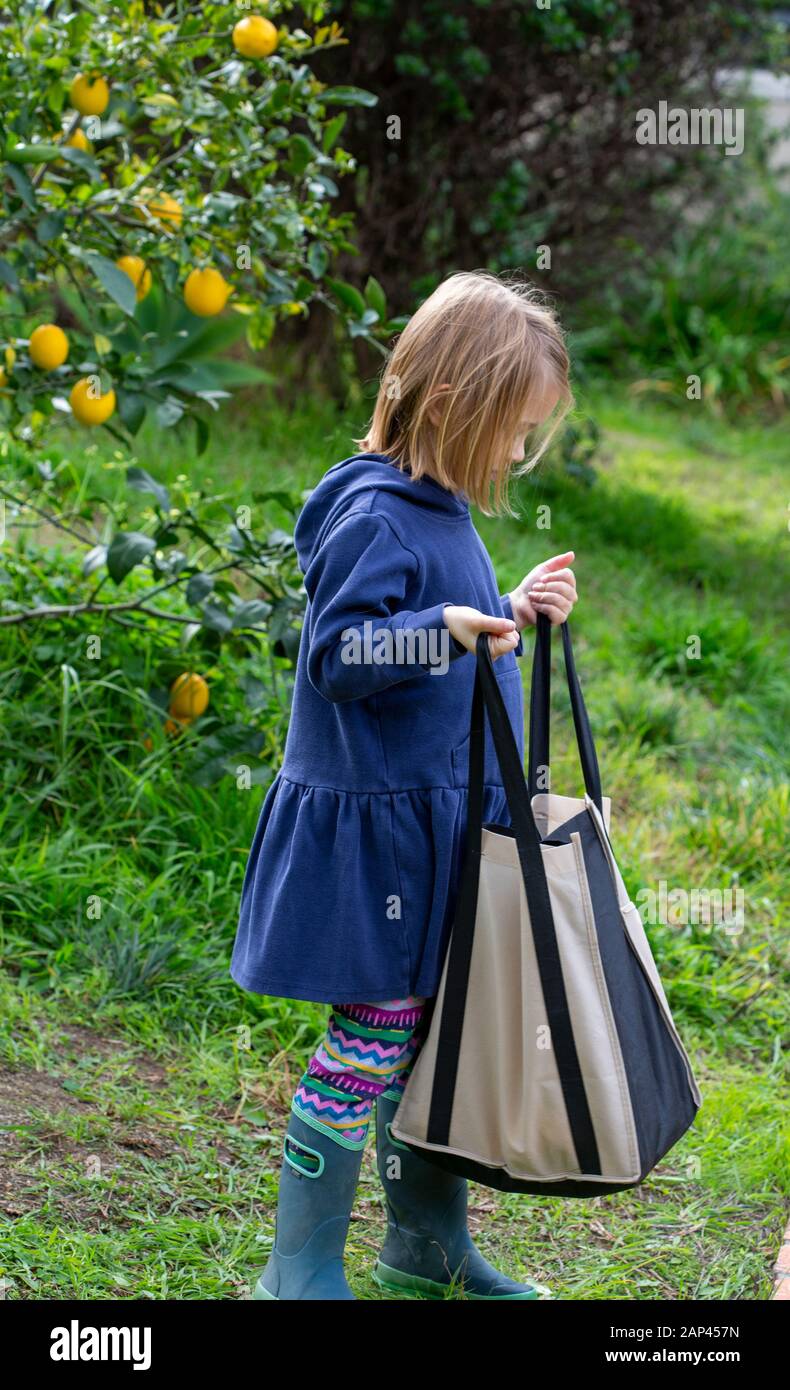 https://c8.alamy.com/comp/2AP457N/young-children-a-boy-and-a-girl-outside-in-a-green-garden-picking-lemons-from-a-lemon-tree-2AP457N.jpg