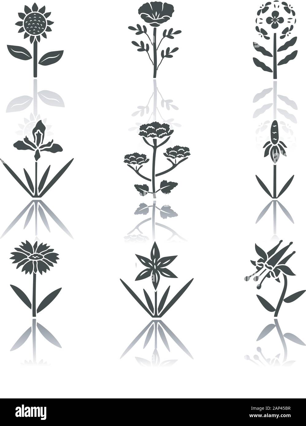 Wild flowers drop shadow black glyph icons set. Helianthus, california poppy, franciscan wallflower, douglas iris, cow parsnip, crimson columbine, bla Stock Vector