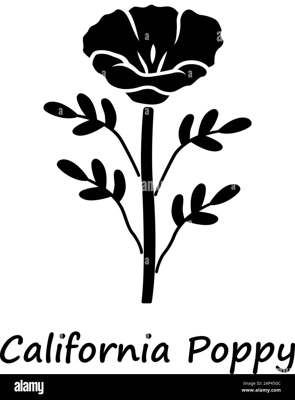 California poppy glyph icon. Papaver rhoeas with name inscription. Corn rose blooming wildflower. Herbaceous plants. Field common poppy. Silhouette sy Stock Vector