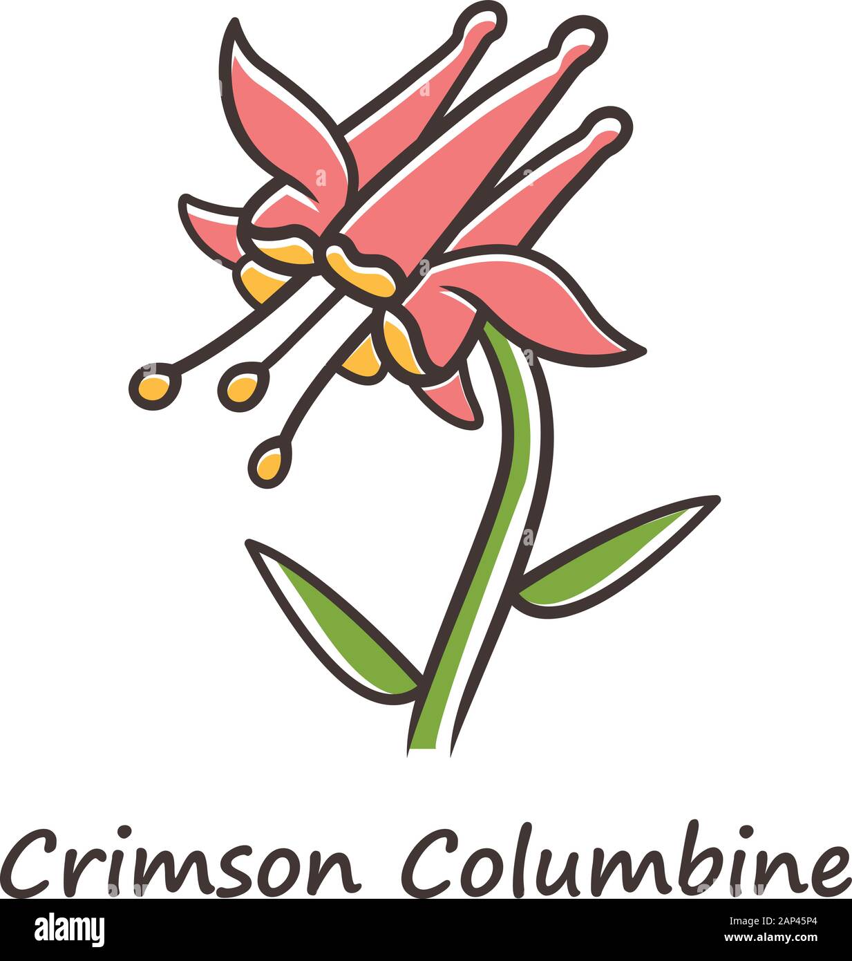 Crimson columbine color icon. Aquilegia formosa inflorescence. Blooming wildflower. Spring blossom. Red columbine.  Wild herbaceous plant with name in Stock Vector