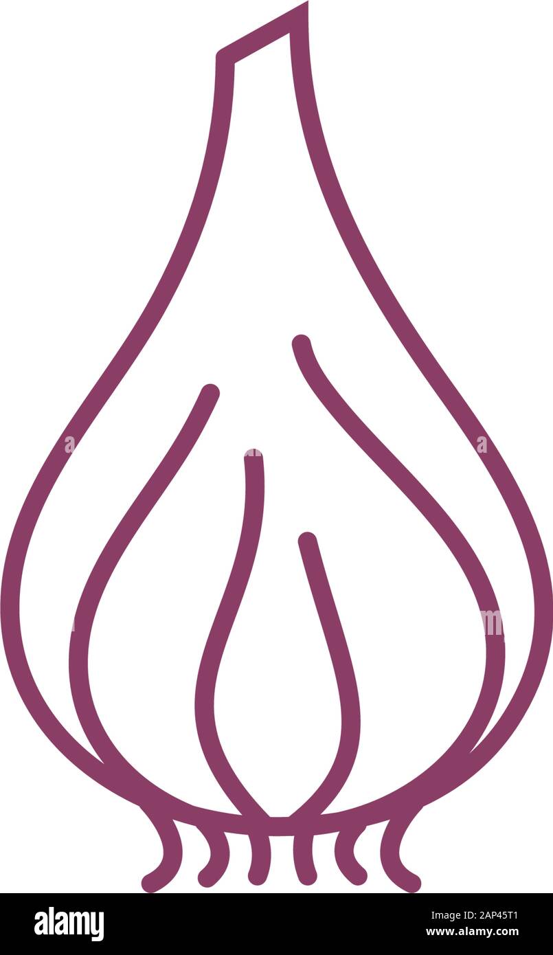 Garlic vector icon illustration design template Stock Vector Image ...