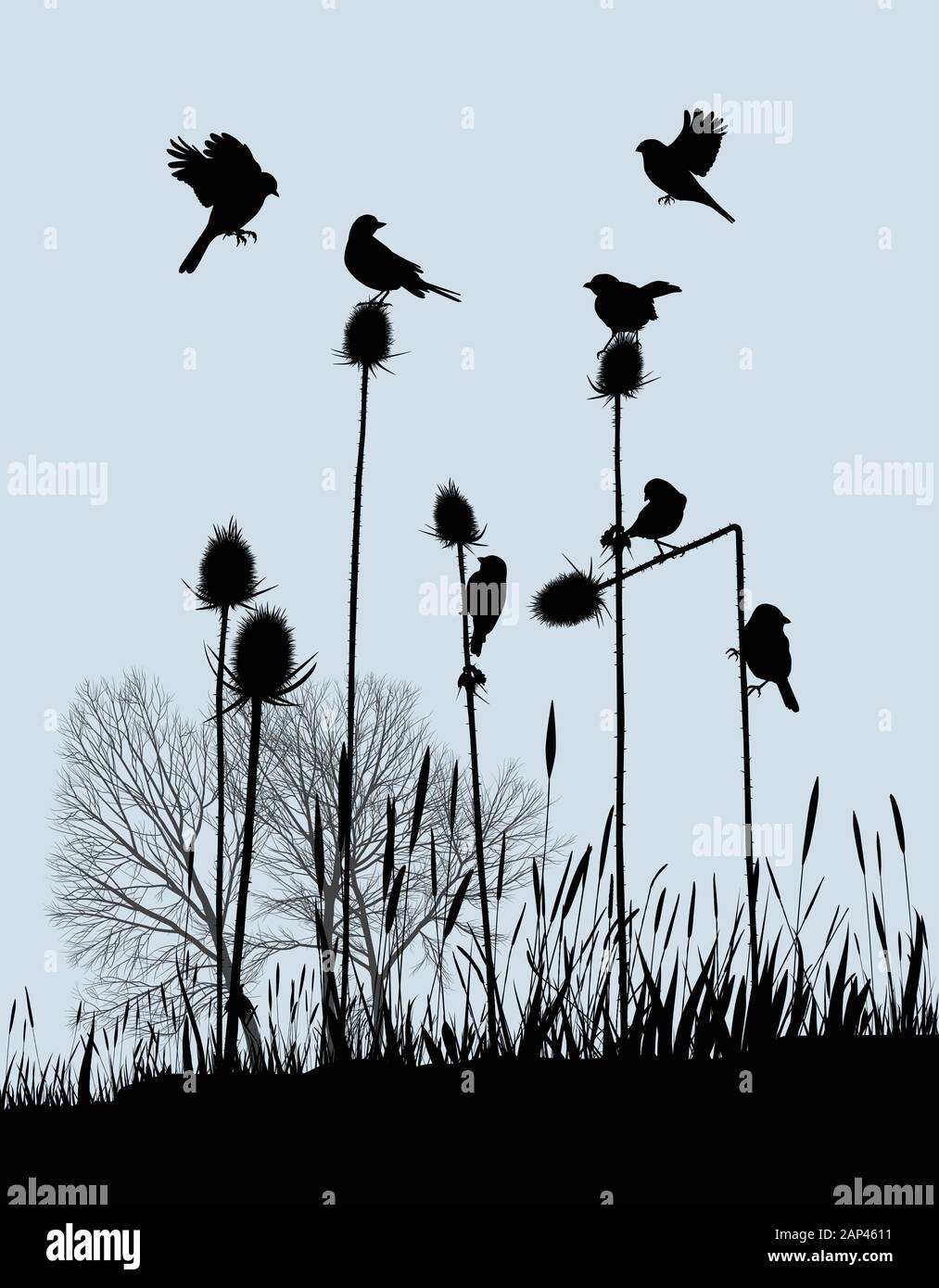 Tiny Birds on Thistles in Autumn Stock Vector