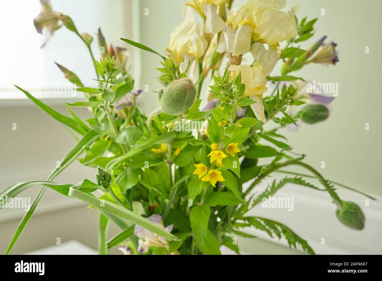 Bouquet of spring summer flowers and poppies in vase Stock Photo - Alamy