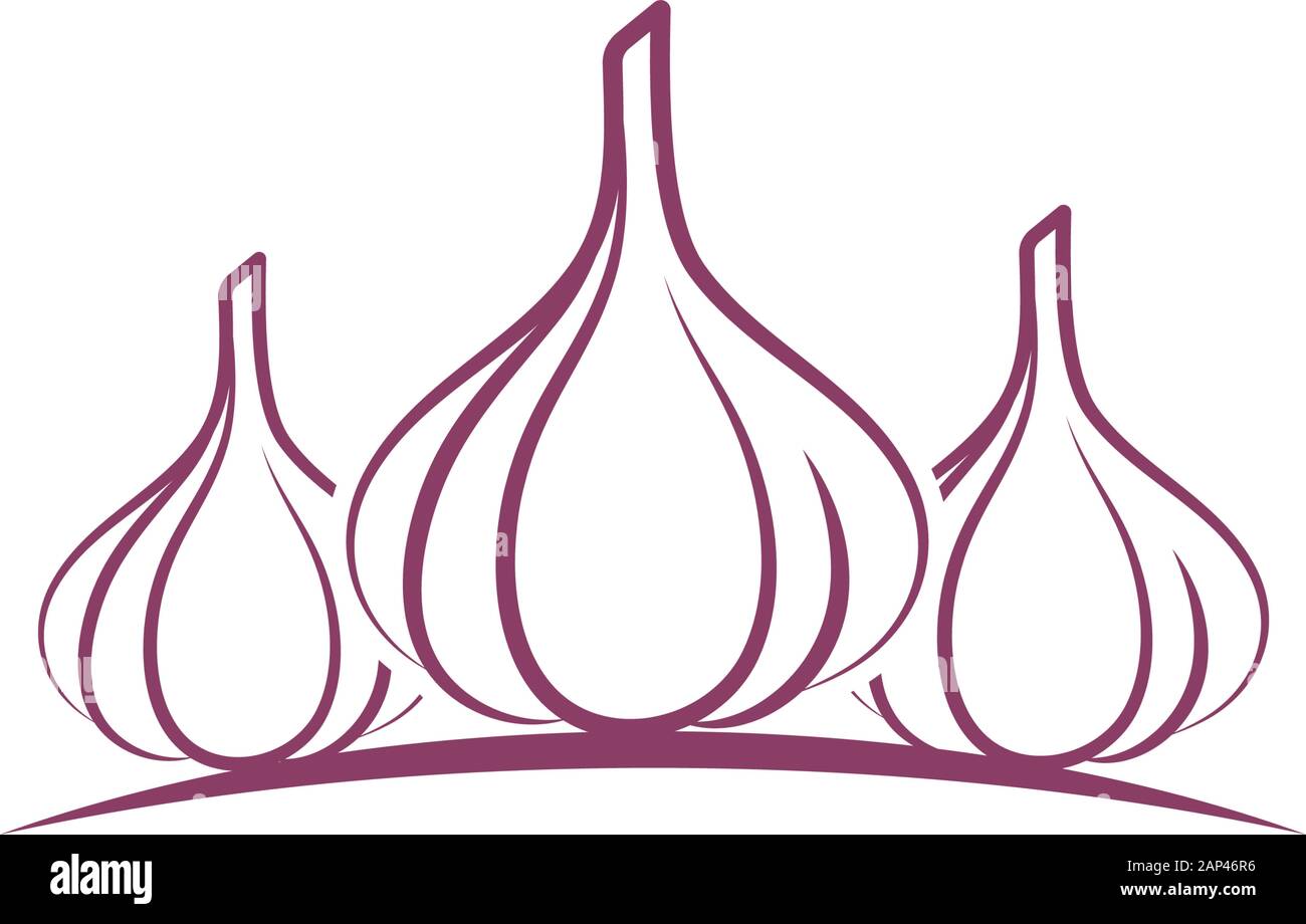 Garlic vector icon illustration design template Stock Vector Image ...