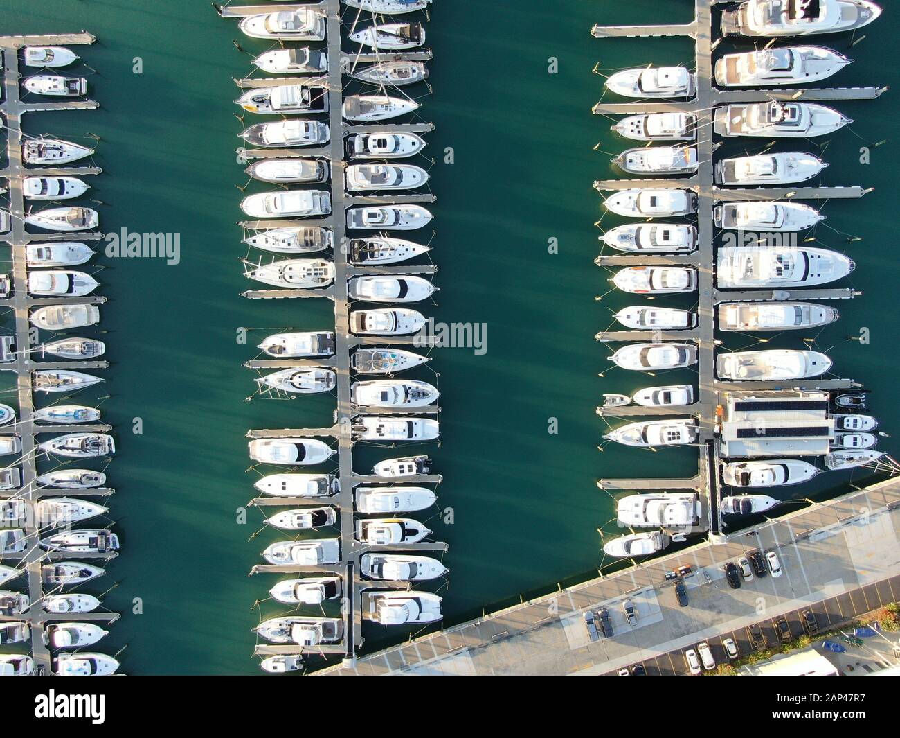 Viaduct Harbour, Auckland / New Zealand December 29, 2019 The Judges