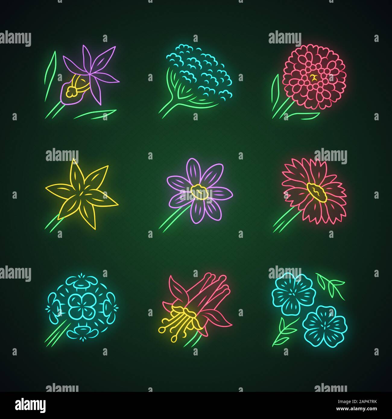 Wild flowers neon light icons set. Orchid, cow parsnip, candytuft, star lily, coreopsis, franciscan wallflower, crimson columbine, blue flax, blanket Stock Vector