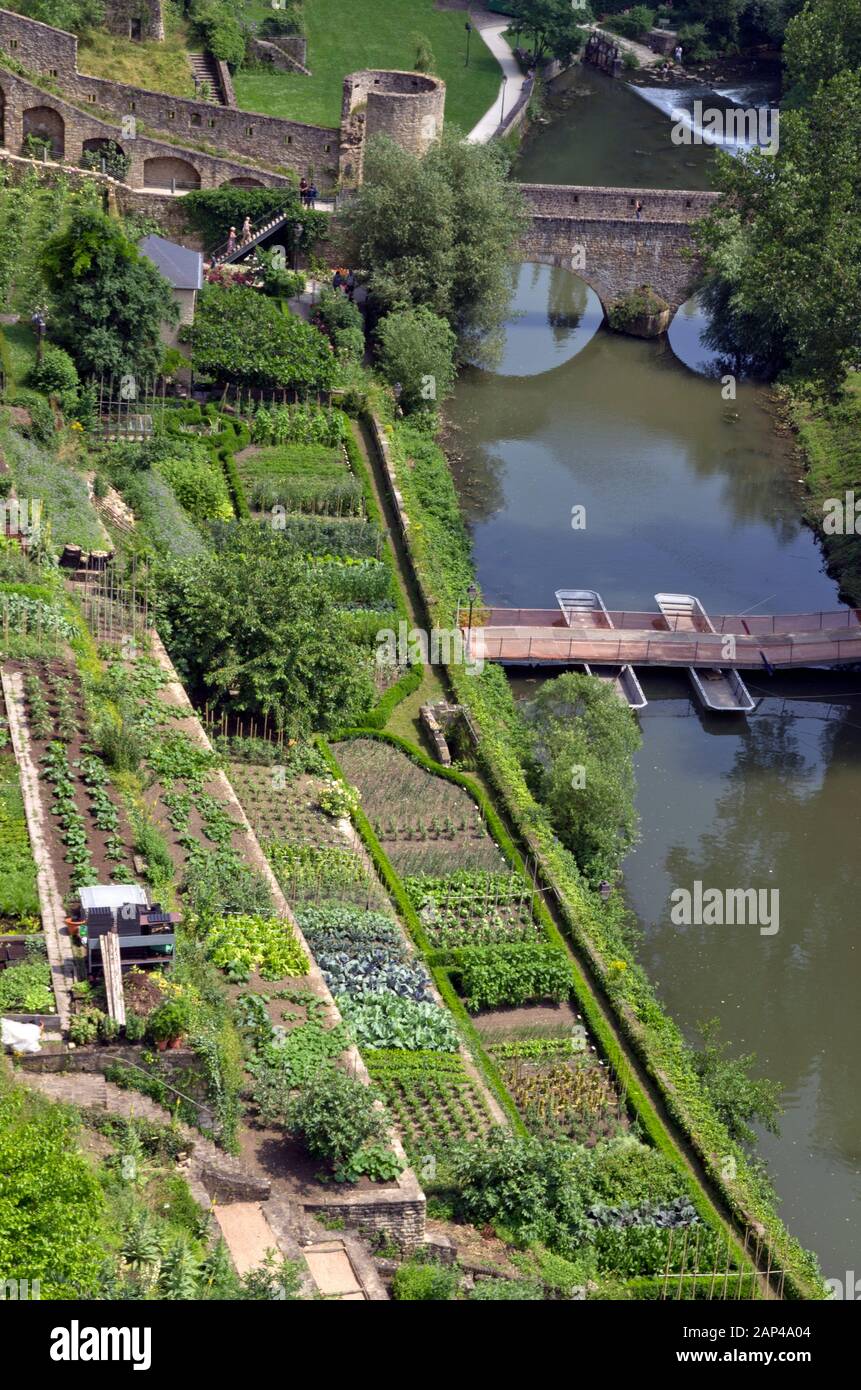 Allotments by the Alzette river in Luxembourg City Stock Photo