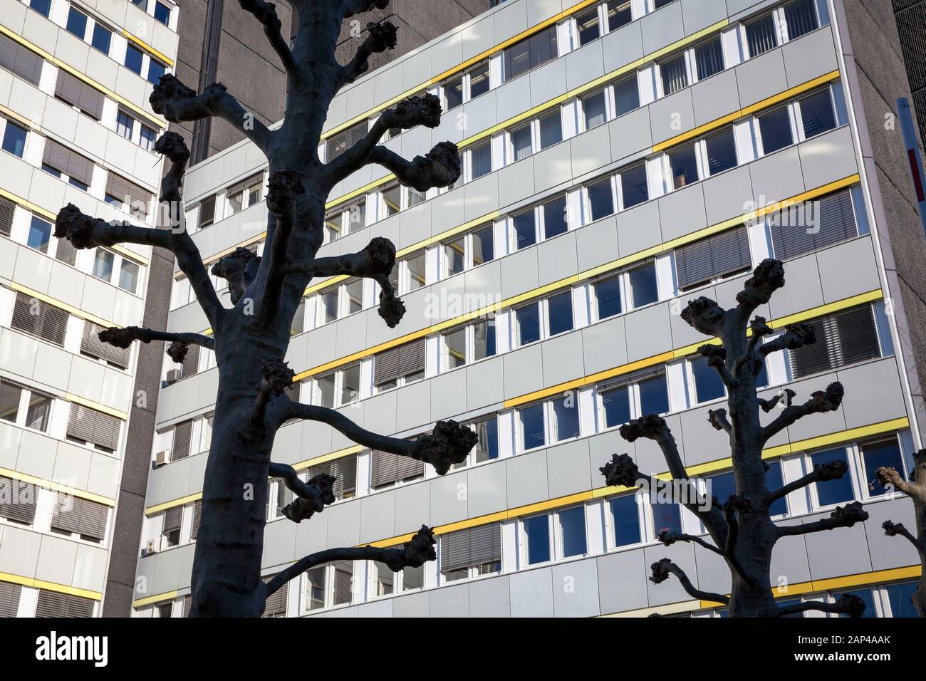 High rise building trees hi-res stock photography and images - Alamy