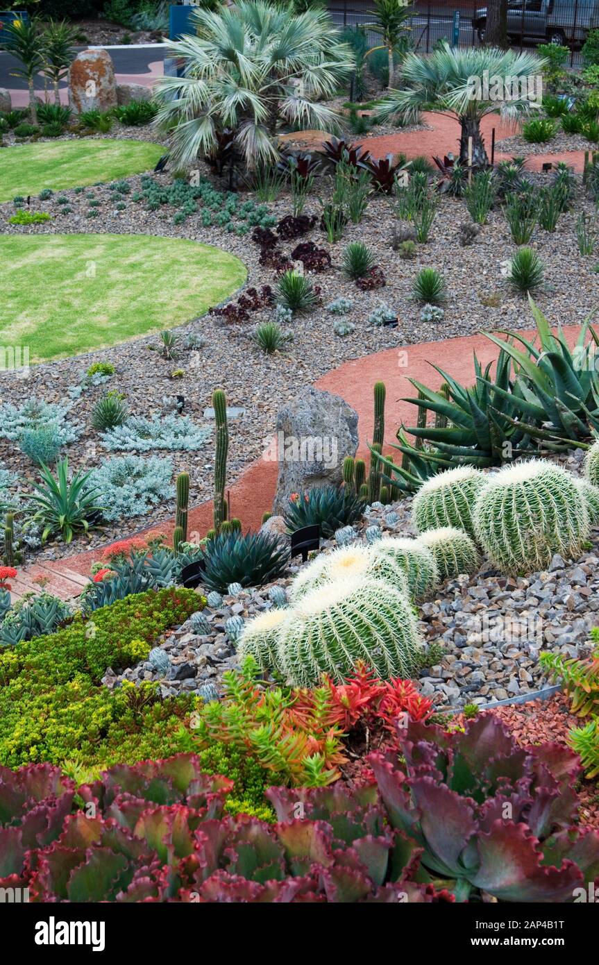 Drought-tolerant plantings on Guilfoyles Volcano, a man-made feature at the Royal Botanic Gardens, Melbourne, Australia Stock Photo