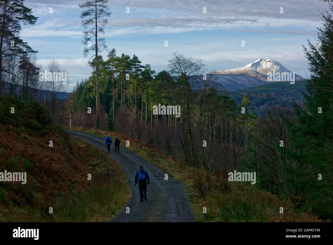 Walkers on a forest trail beside Loch Ard, near Aberfolye, Scotland. Stock Photo