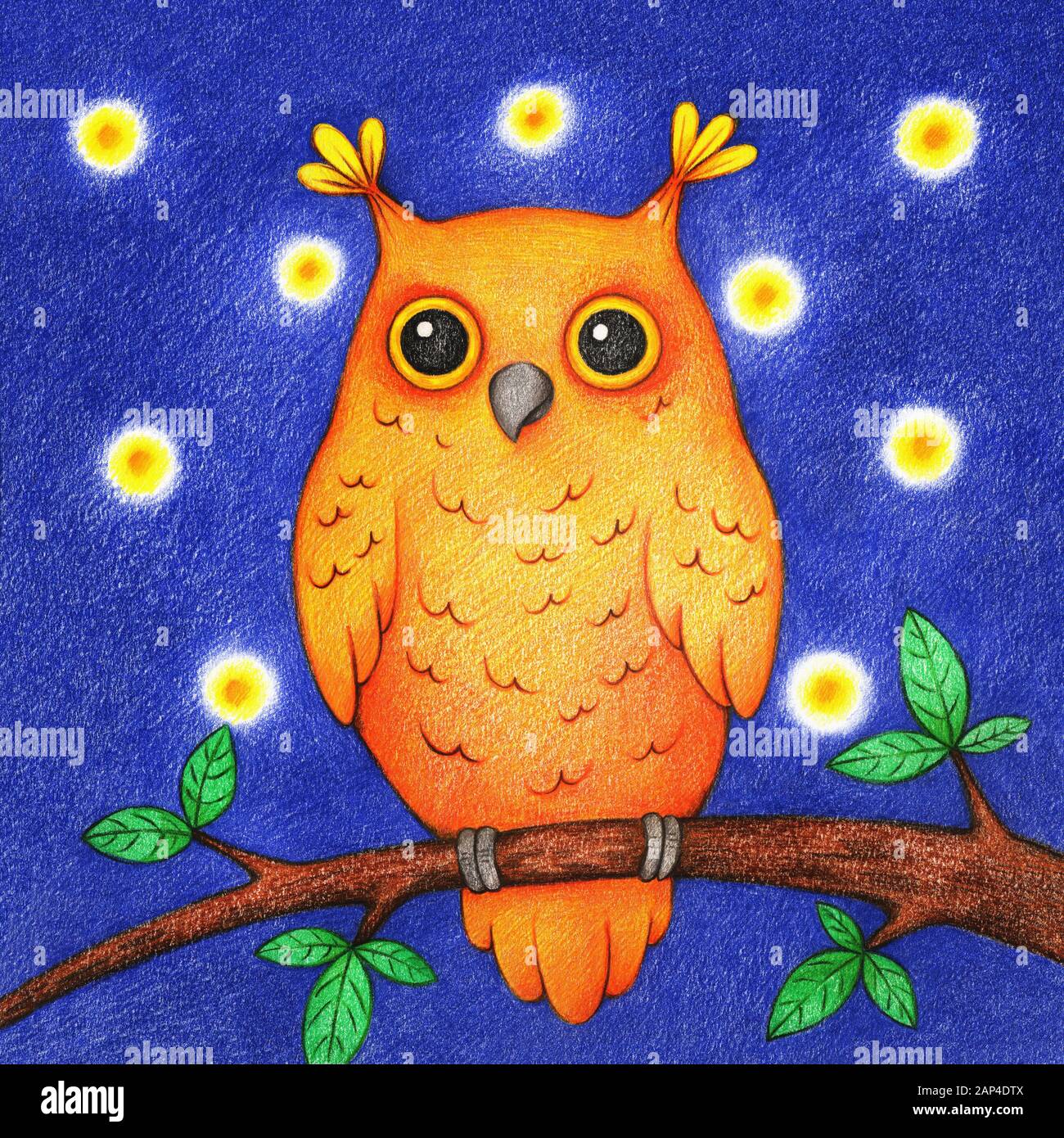 Owl Drawing For Kids