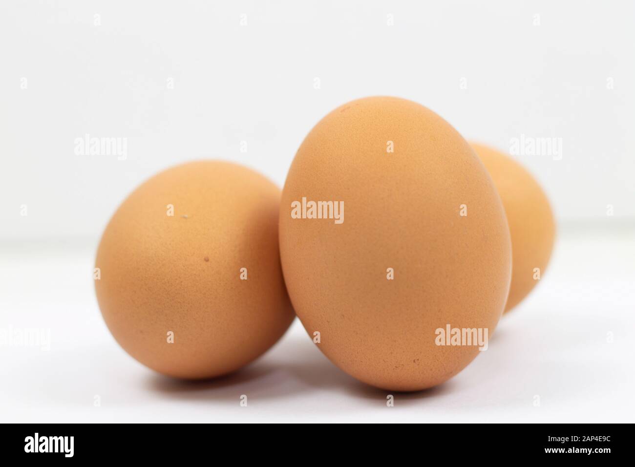Egg isolated on white background cutout Stock Photo