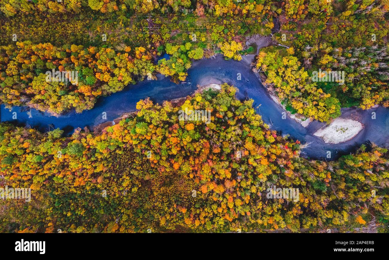 Aerial view green forest red hi-res stock photography and images - Alamy