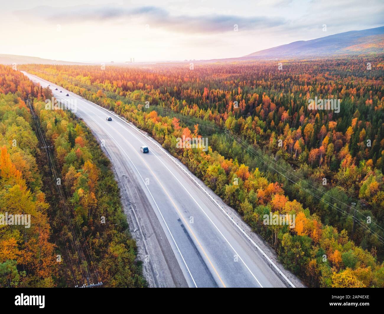Forest autumn road with cars go sunset red, yellow trees russia, aerial