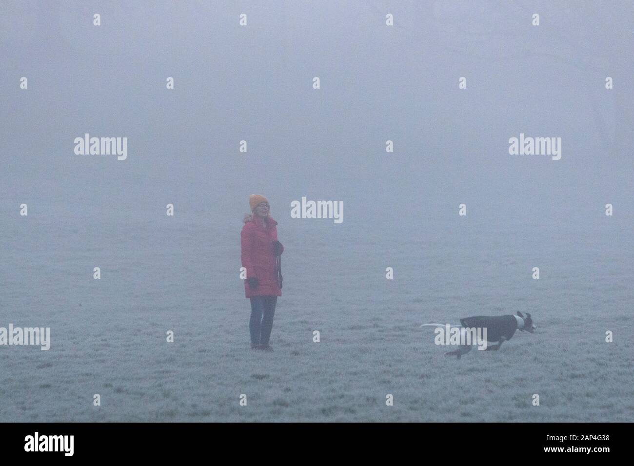 Chippenham, Wiltshire, UK. 21st Jan, 2020. As fog blankets many parts of the UK , a woman is pictured watching a dog as it runs in a public park in Chippenham, Wiltshire. Credit: Lynchpics/Alamy Live News Stock Photo
