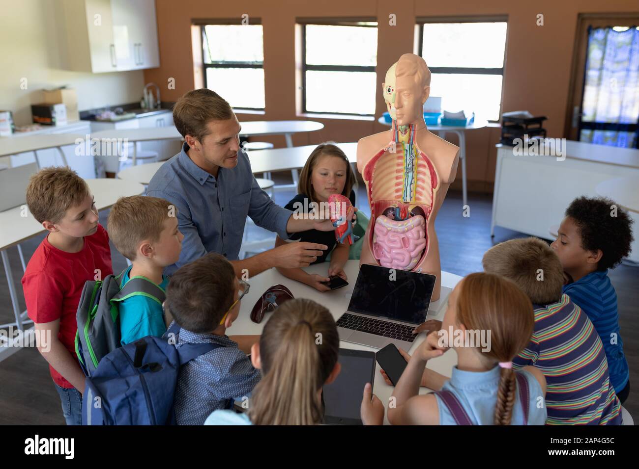 Male teacher using an human anatomy model to teach Stock Photo Alamy