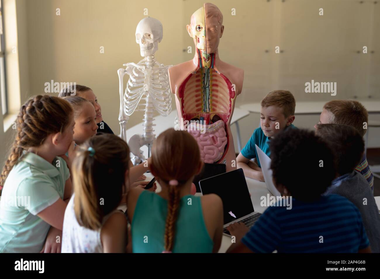 Group of elementary school kids using laptops Stock Photo - Alamy