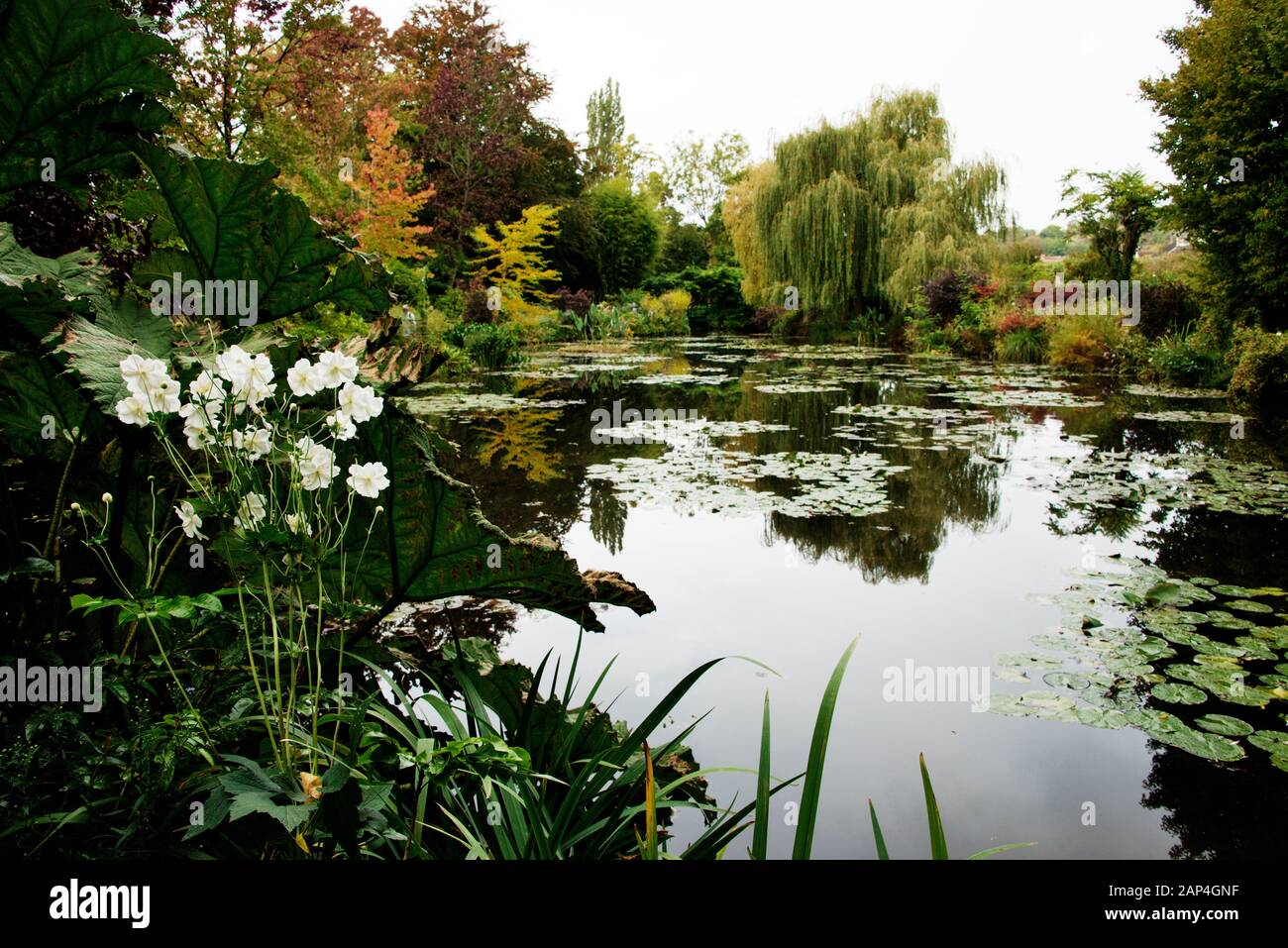 Claude Monet Garden Giverny Water Garden and Lily Pond in Autumn Stock ...