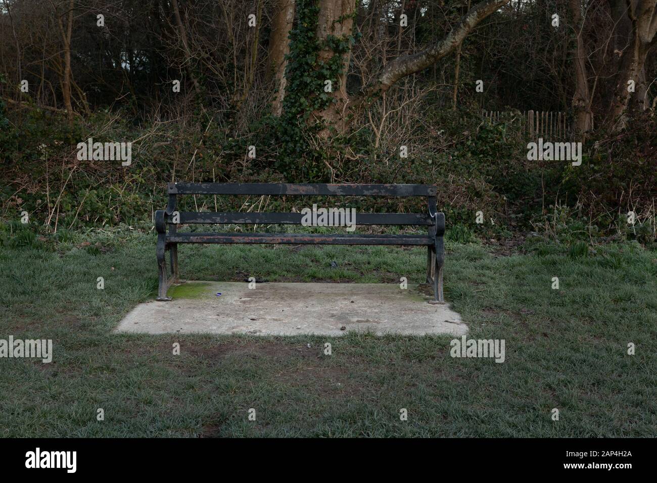 empty bench next to some trees, in winter in West Sussex, UK Stock Photo
