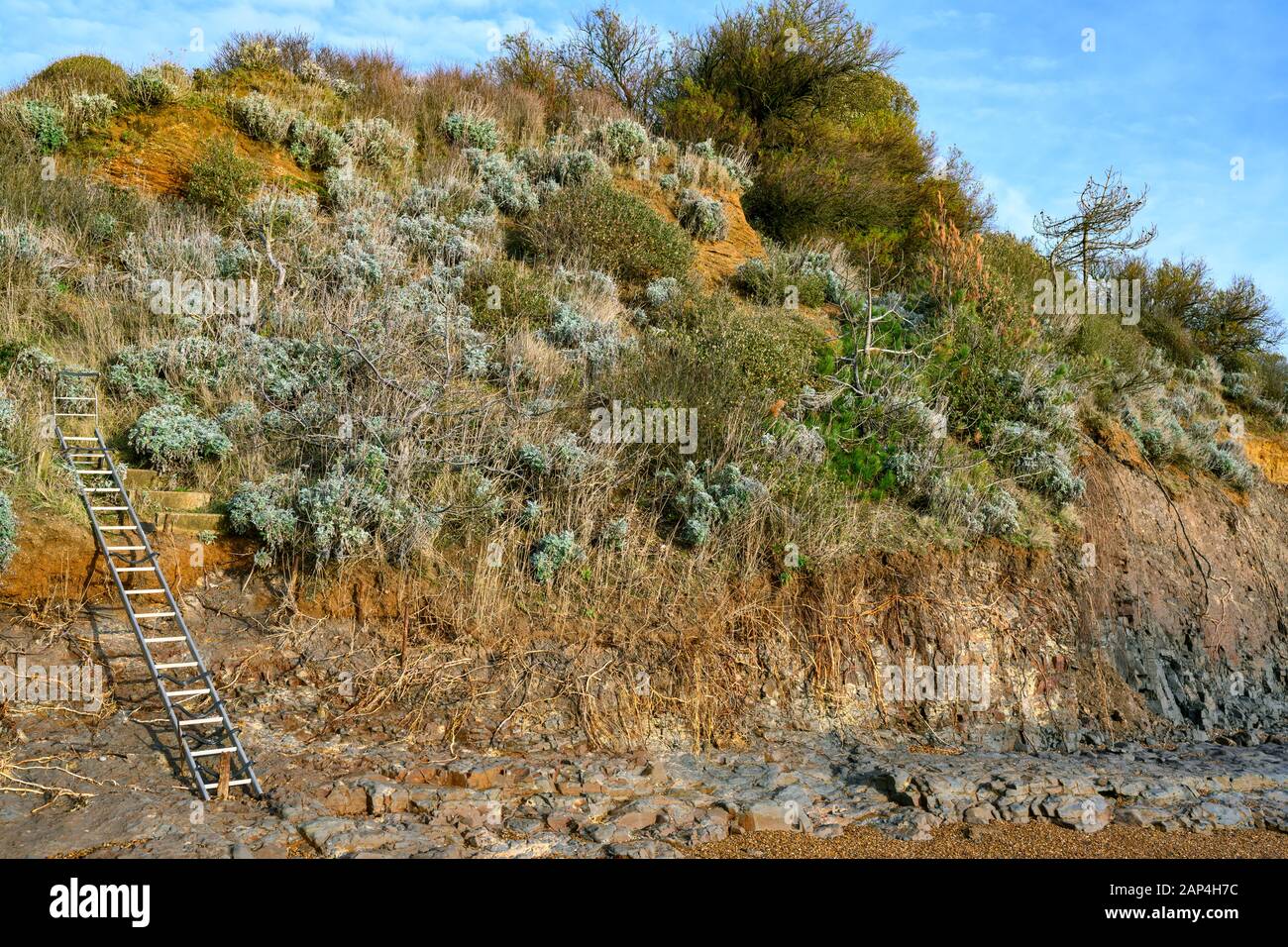 Effects of coastal erosion on sandy soil cliffs, Bawdsey Ferry, Suffolk, England. Stock Photo