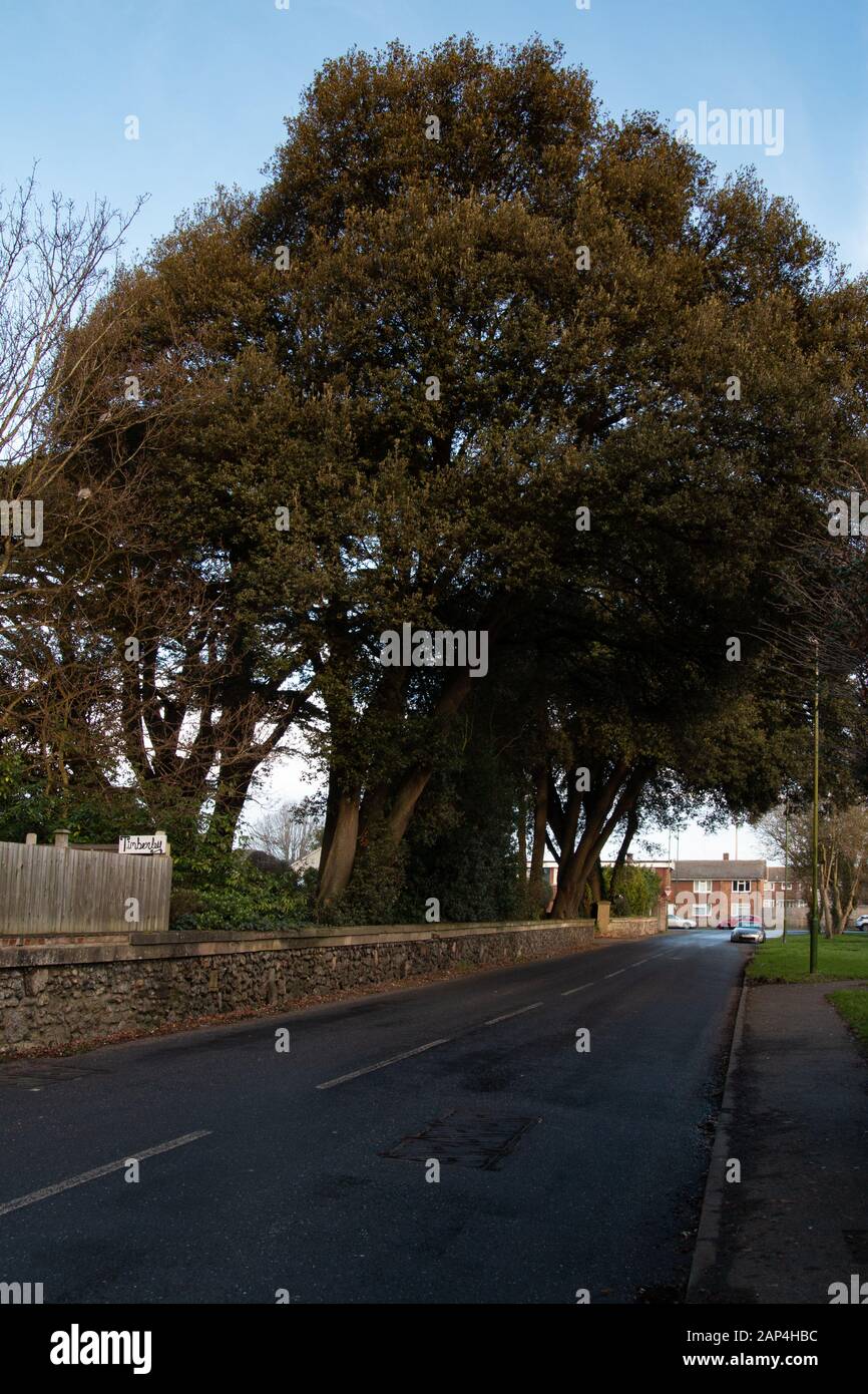 East preston hires stock photography and images Alamy