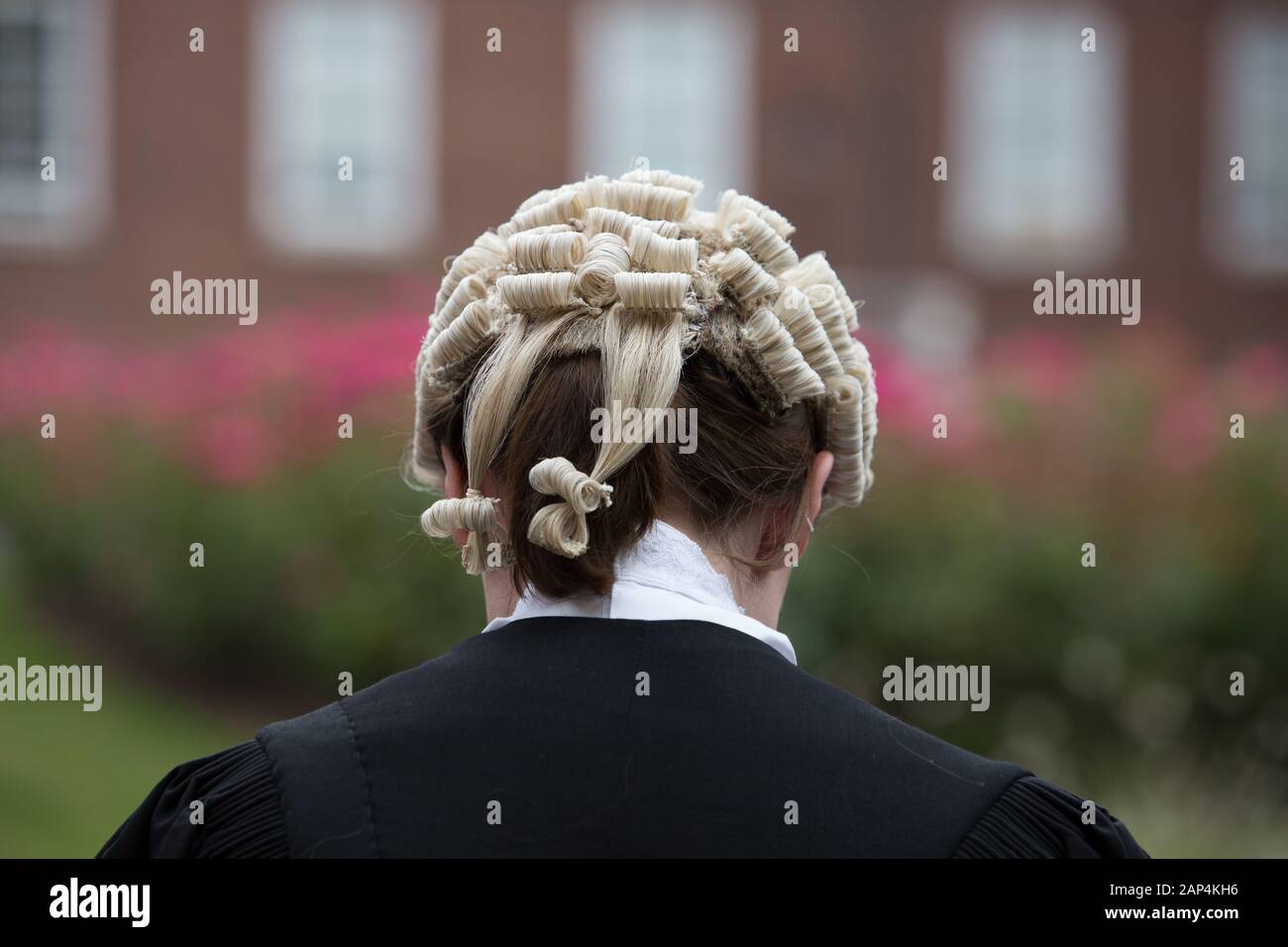 A wig, as worn by some judges and barristers in England and Wales, also known as a peruke. It is being worn by a woman. Stock Photo