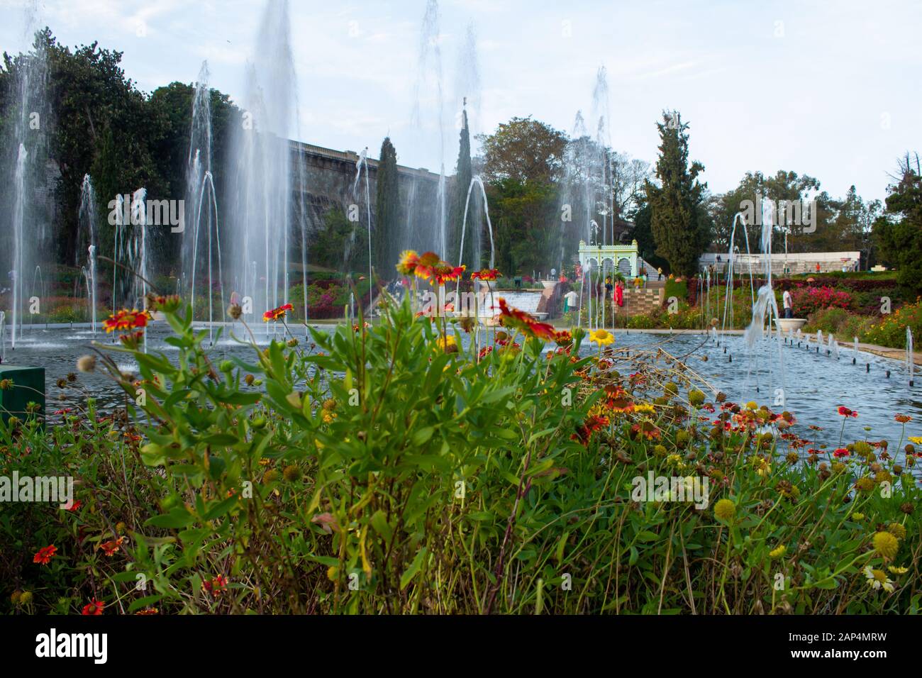 Mysore, Karnataka / India - January 01 202: Beautiful flowers and water fountains in Brindavan Gardens during sunset with KRS dam in background, Mysor Stock Photo