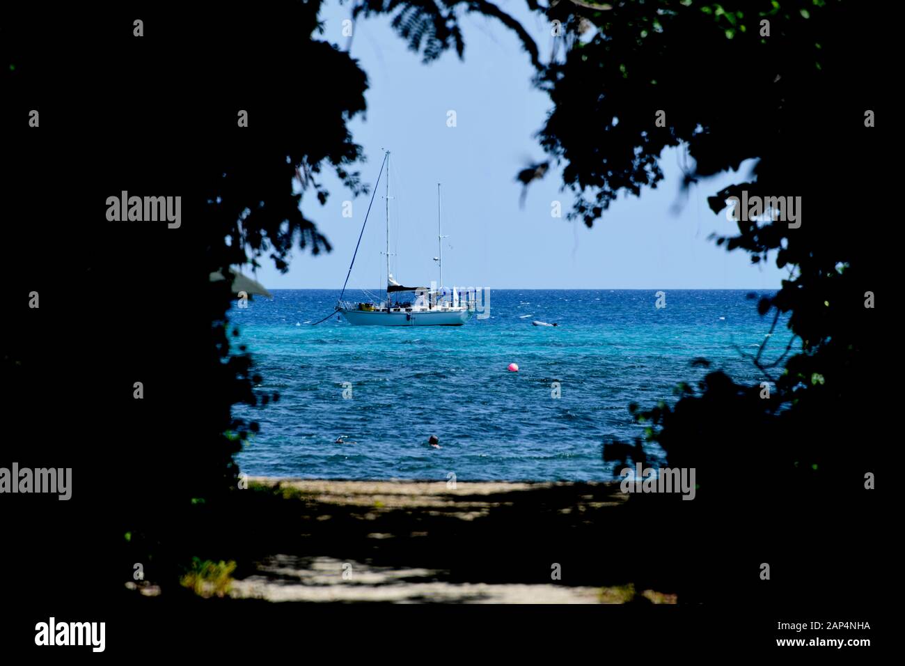View of sailing boat on blue Great Barrier Reef Australia and person swimming looking from shaded trees of an island Stock Photo