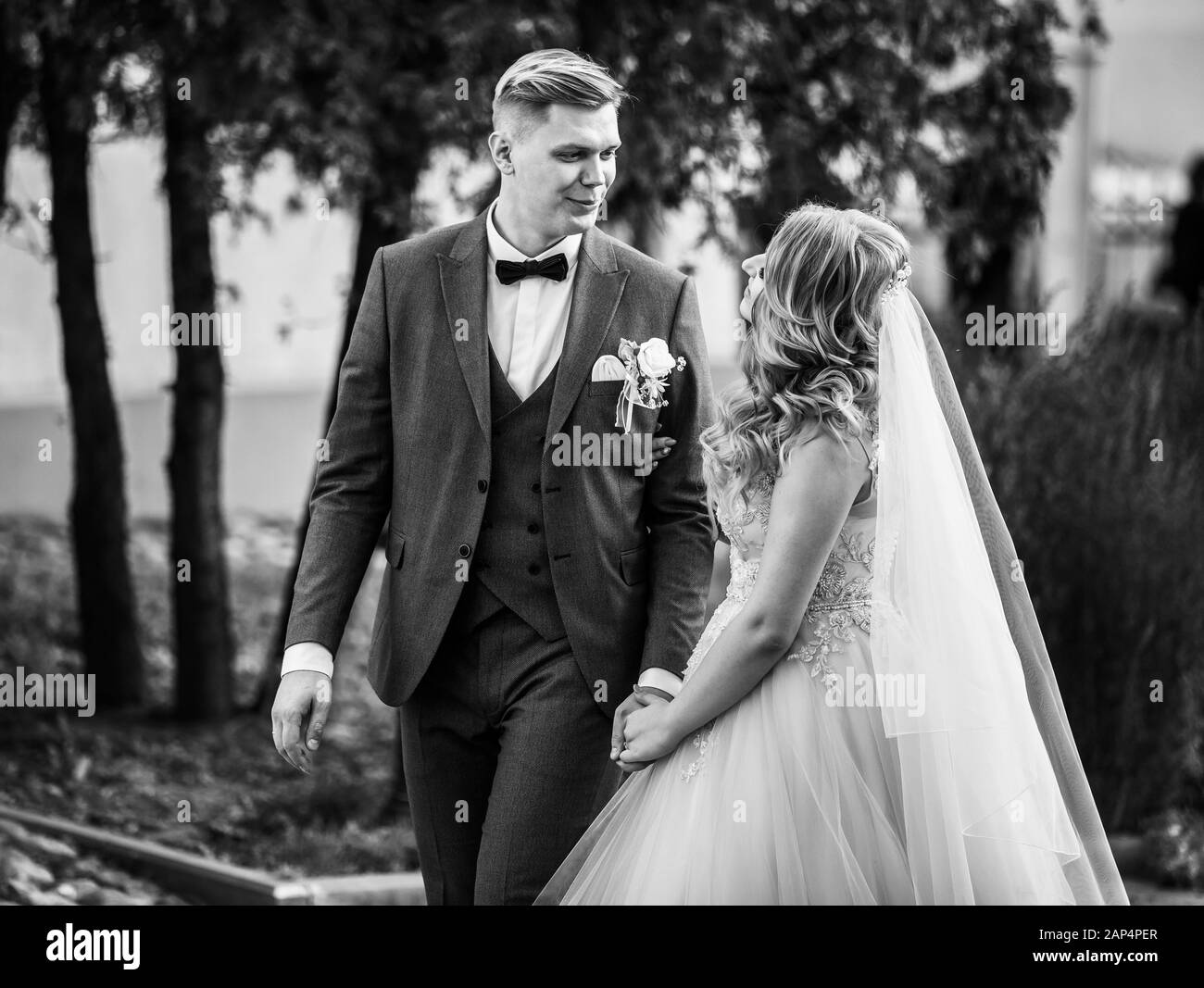 top view. happy bride and groom sitting on a bench Stock Photo - Alamy