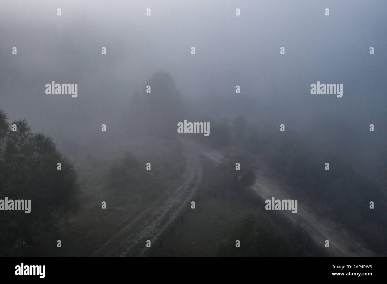 Aerial view of colorful mixed forest shrouded in morning fog on a ...