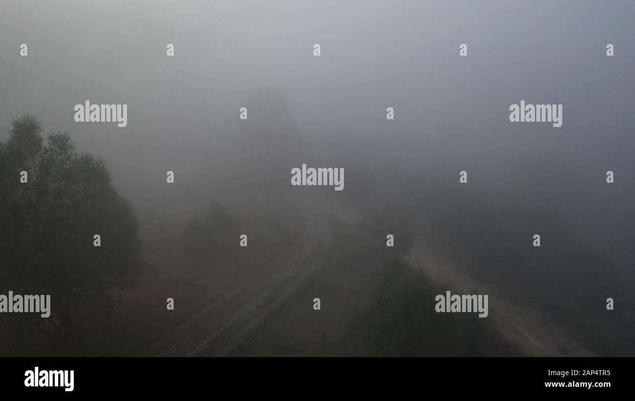 Aerial view of colorful mixed forest shrouded in morning fog on a ...