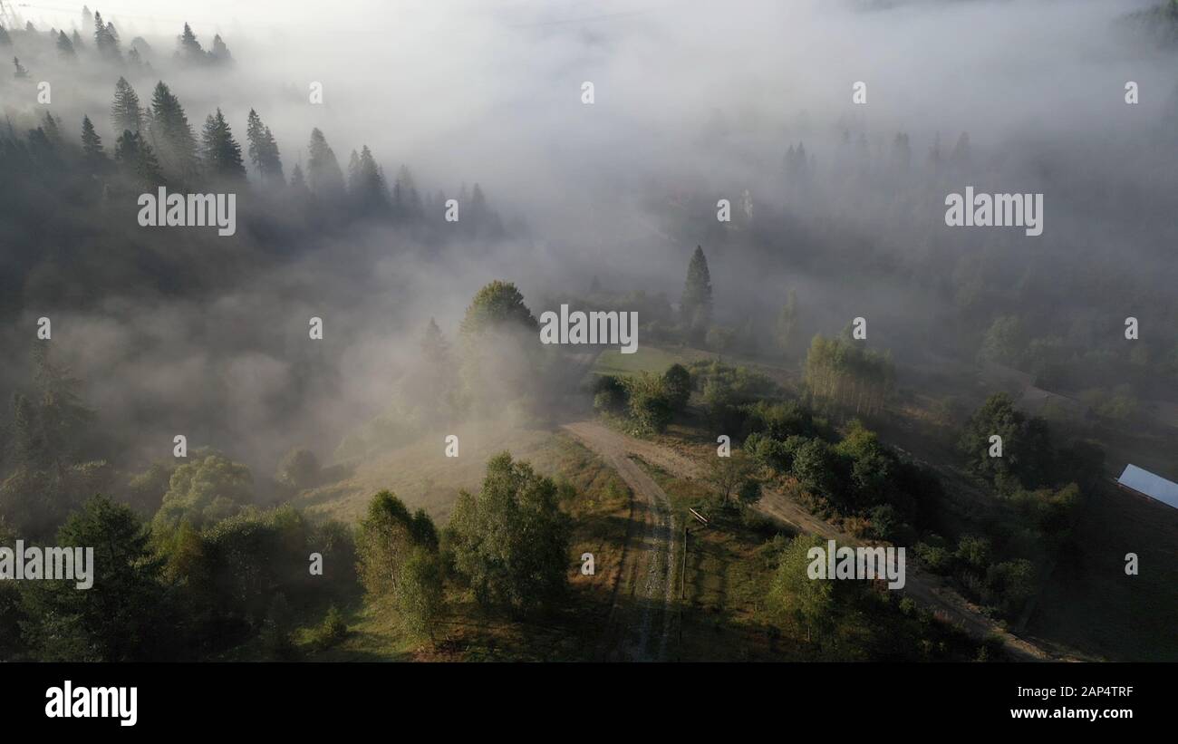 Aerial view of colorful mixed forest shrouded in morning fog on a ...