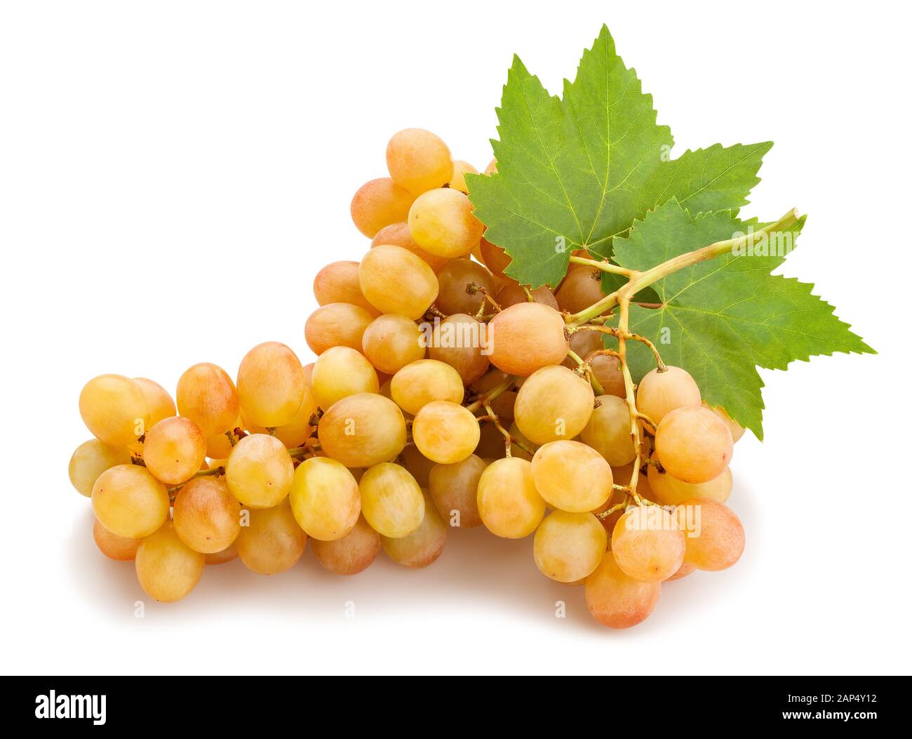 pink grape path isolated on white Stock Photo