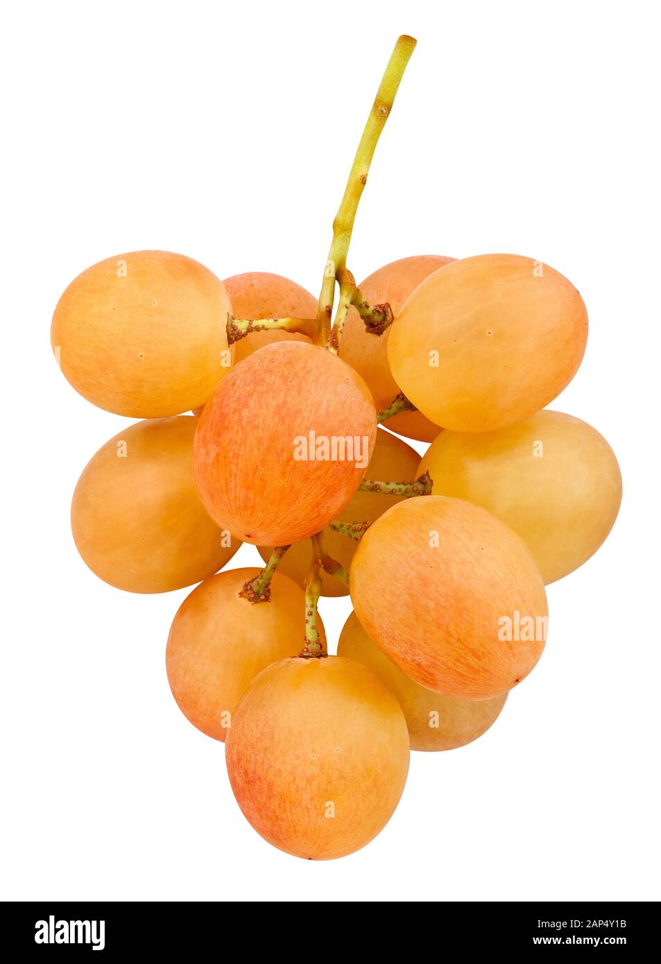pink grape path isolated on white Stock Photo - Alamy