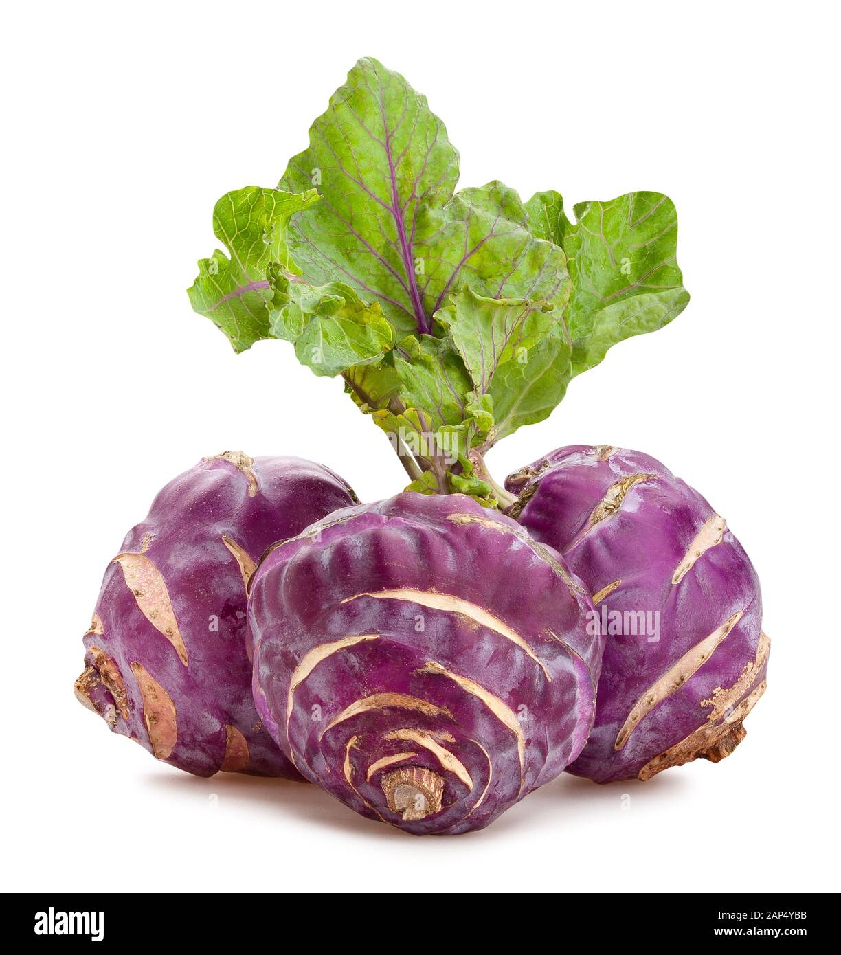 kohlrabi path isolated on white Stock Photo