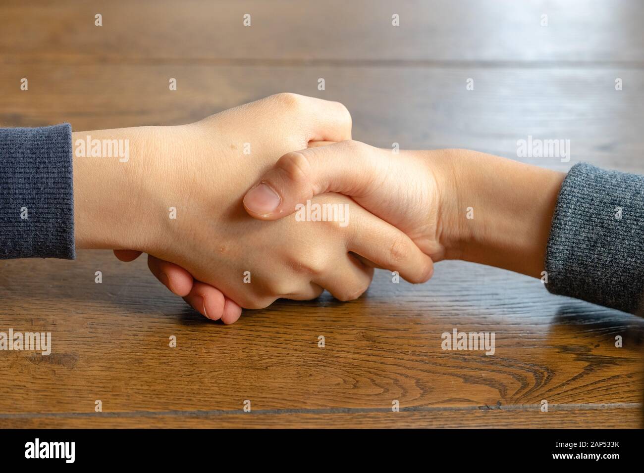 Shaking Hands. Friend Welcome, Introduction, Friendship