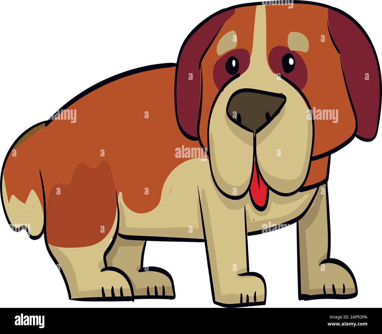 Saint Bernard Puppy Cut Out Stock Images & Pictures - Alamy
