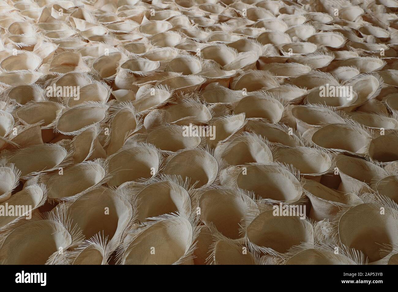 Blanks of Panama Hats in Ecuador Half-finished hat Stock Photo